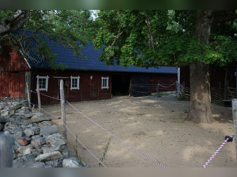 Einzigartiges Anwesen in Blekinge / Südschweden