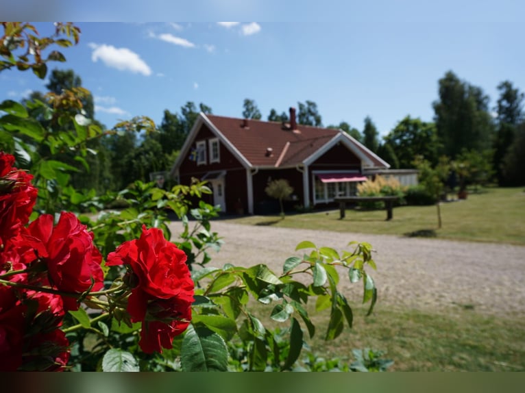 Einzigartiges Anwesen in Blekinge / Südschweden