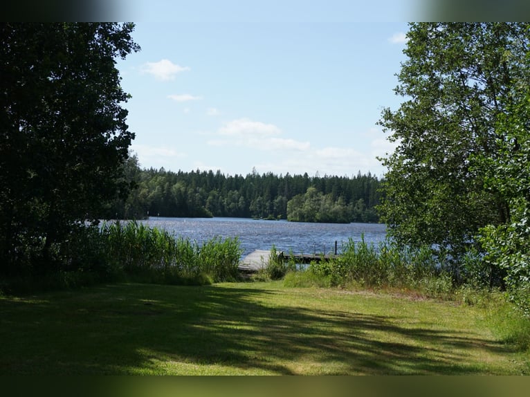Einzigartiges Anwesen in Blekinge / Südschweden