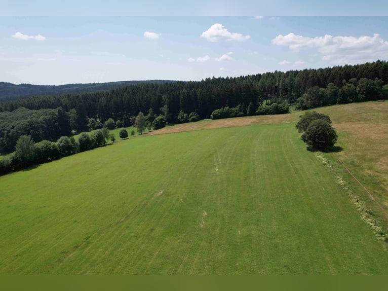 Einzigartiges Grundstück zur Errichtung einer neuen Reitanlage oder für andere Zwecke in bester Lage