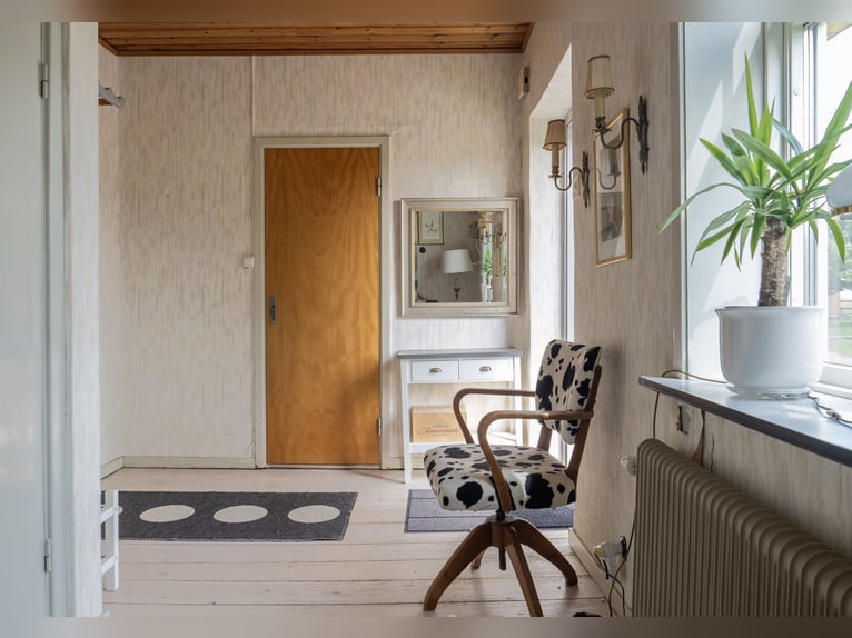 Equestrian Property of Possibilities – Countryside Living with Proximity to Services and Transport
