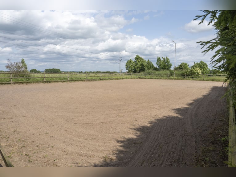 Equestrian Property of Possibilities – Countryside Living with Proximity to Services and Transport