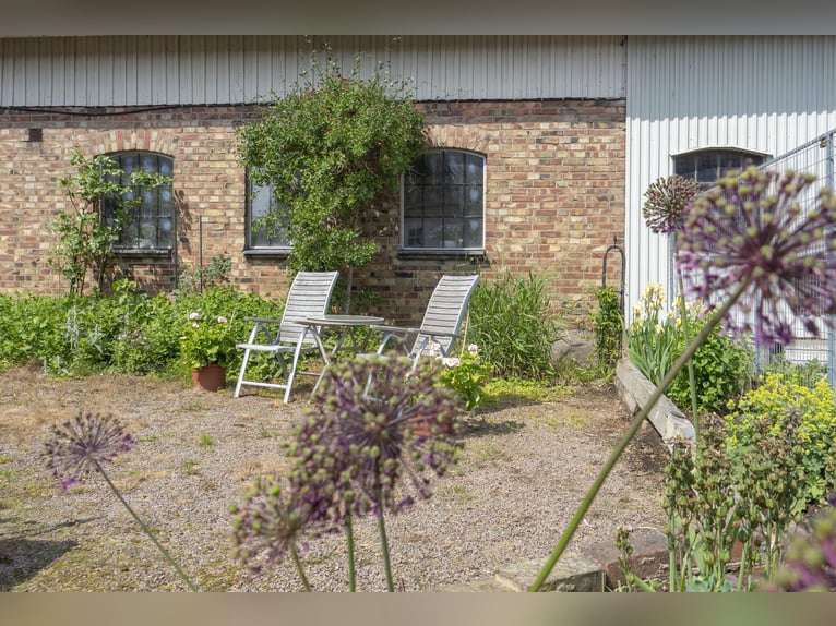 Equestrian Property of Possibilities – Countryside Living with Proximity to Services and Transport