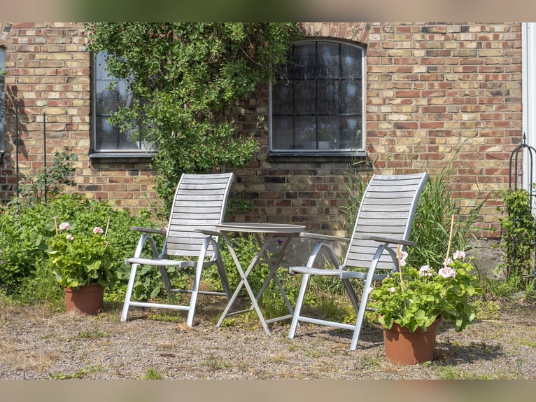 Equestrian Property of Possibilities – Countryside Living with Proximity to Services and Transport
