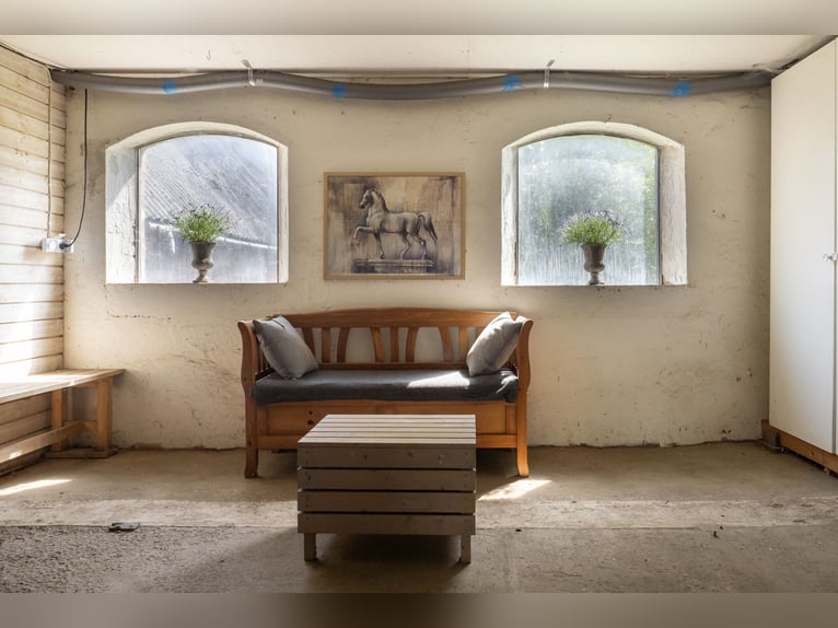 Equestrian Property of Possibilities – Countryside Living with Proximity to Services and Transport