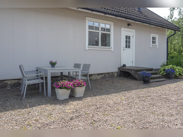 Equestrian Property of Possibilities – Countryside Living with Proximity to Services and Transport