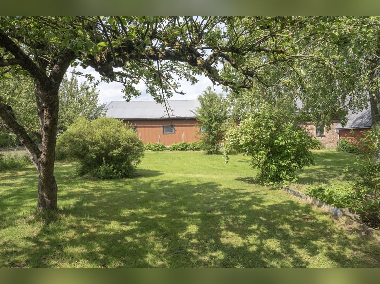 Equestrian Property of Possibilities – Countryside Living with Proximity to Services and Transport
