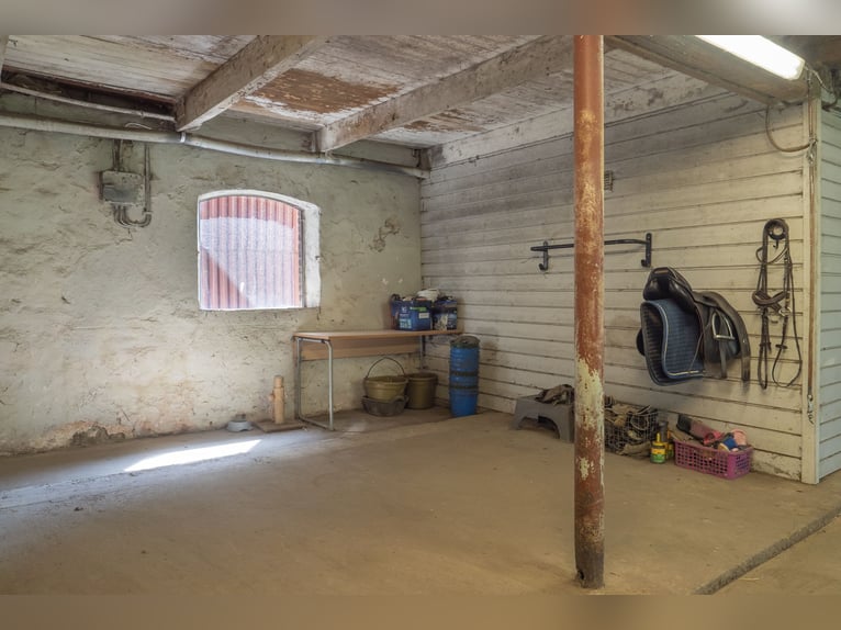 Equestrian Property of Possibilities – Countryside Living with Proximity to Services and Transport