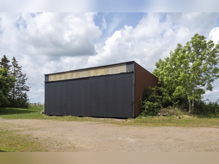 Equestrian Property of Possibilities – Countryside Living with Proximity to Services and Transport