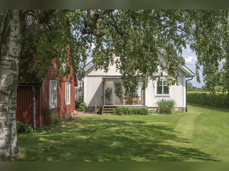 Equestrian Property of Possibilities – Countryside Living with Proximity to Services and Transport