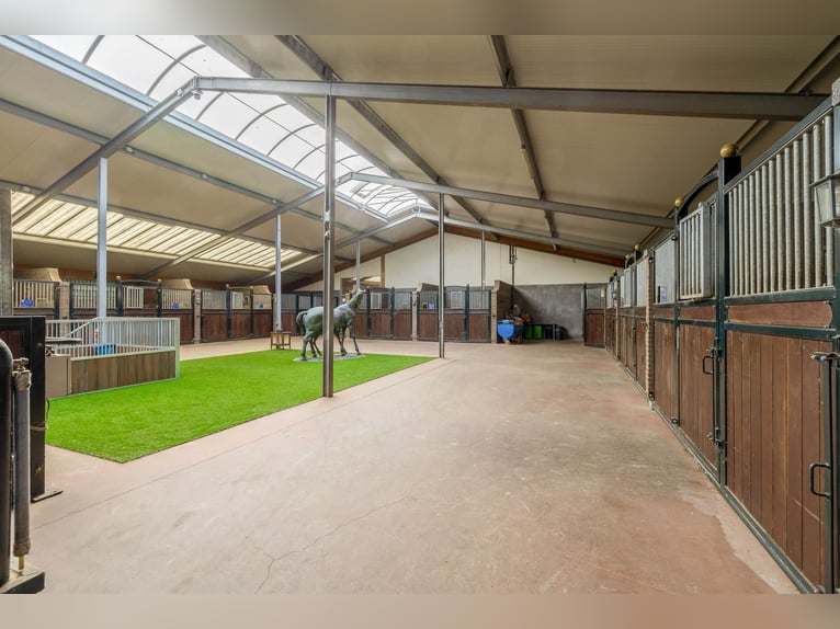 Estate with Professional Equestrian Facilities and Spacious Living Options