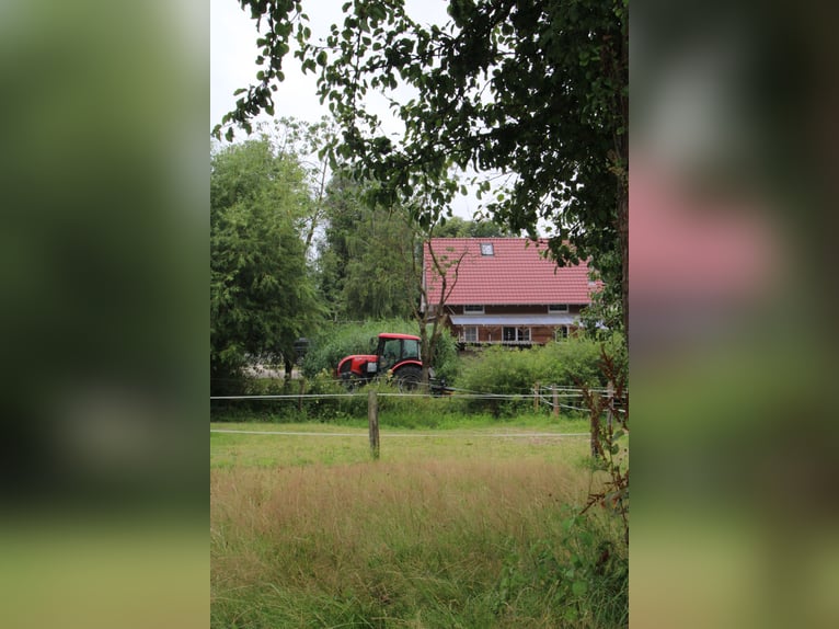 Etablierte Ranch- und Reitanlage – ca. 8 ha arrondierte Fläche – vielseitig nutzbar