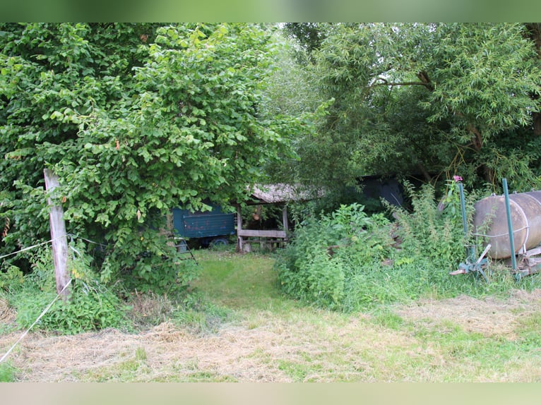 Etablierte Ranch- und Reitanlage – ca. 8 ha arrondierte Fläche – vielseitig nutzbar