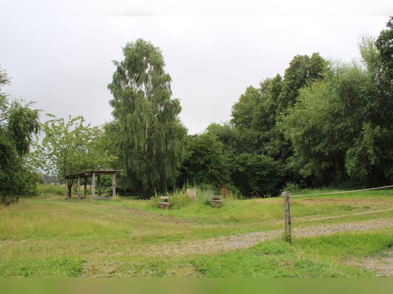 Etablierte Ranch- und Reitanlage – ca. 8 ha arrondierte Fläche – vielseitig nutzbar