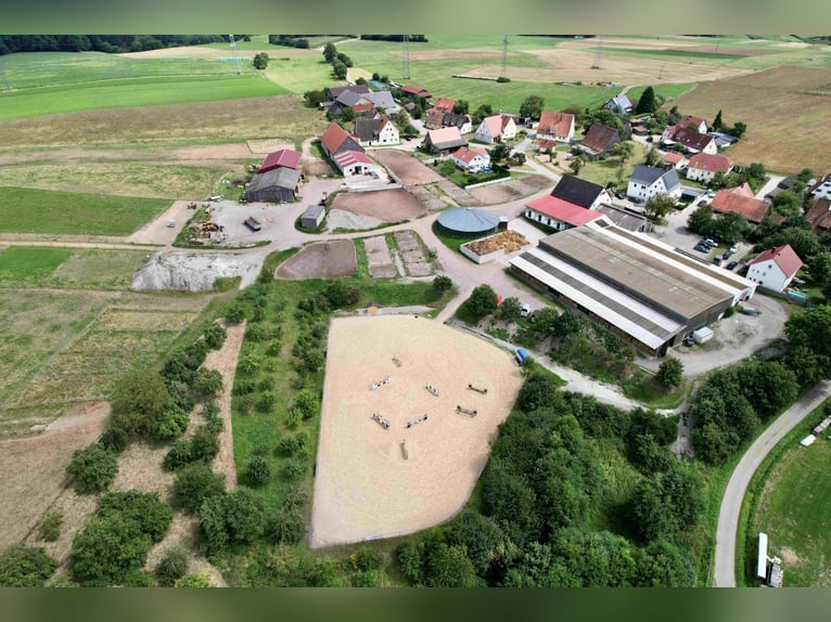 Exklusive Reitanlage im Großraum Nürnberg mit 2 Häusern - Optional weitere Gebäude und Land möglich