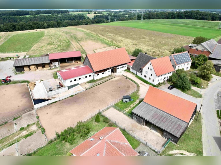 Exklusive Reitanlage im Großraum Nürnberg mit 2 Häusern - Optional weitere Gebäude und Land möglich