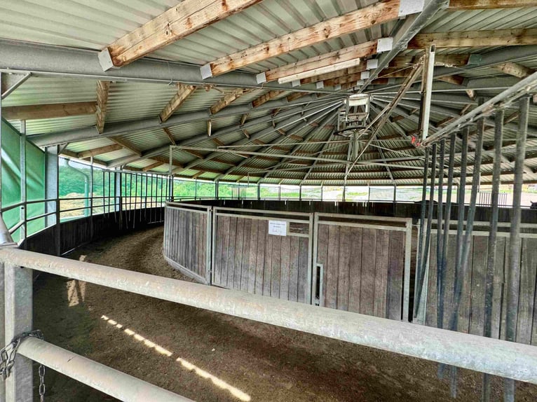 Exklusive Reitanlage im Großraum Nürnberg mit 2 Häusern - Optional weitere Gebäude und Land möglich