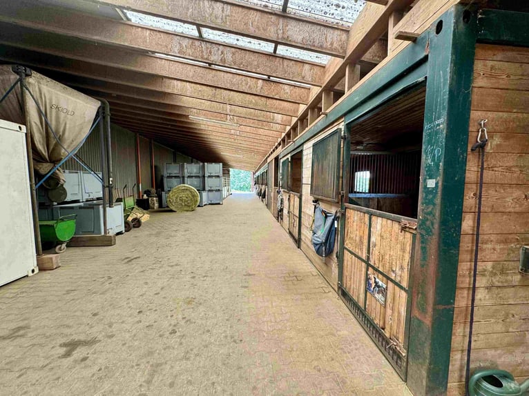 Exklusive Reitanlage im Großraum Nürnberg mit 2 Häusern - Optional weitere Gebäude und Land möglich