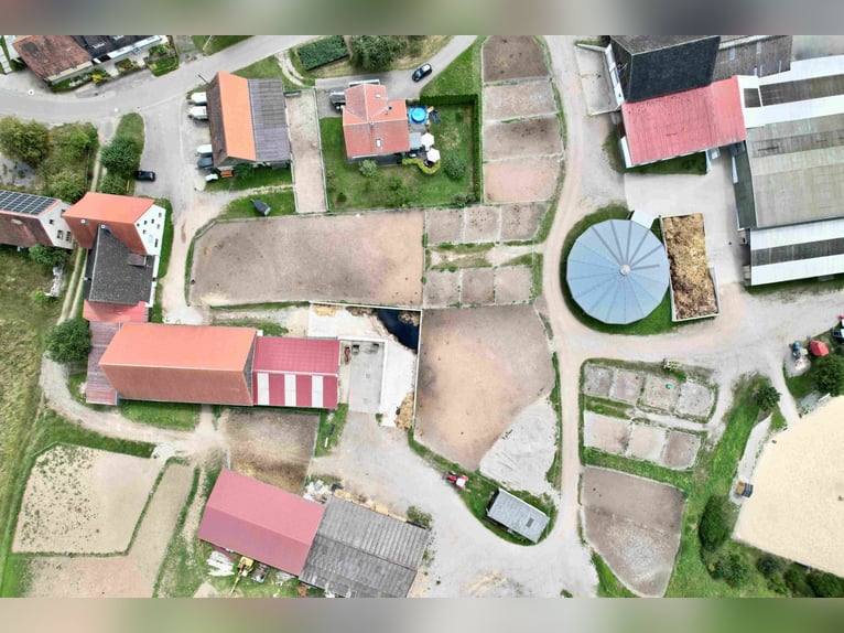 Exklusive Reitanlage im Großraum Nürnberg mit 2 Häusern - Optional weitere Gebäude und Land möglich