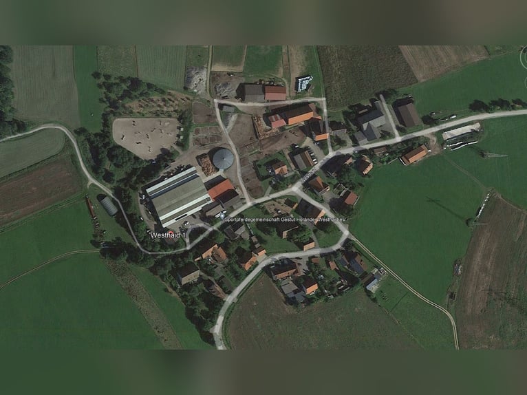 Exklusive Reitanlage im Großraum Nürnberg mit 2 Häusern - Optional weitere Gebäude und Land möglich