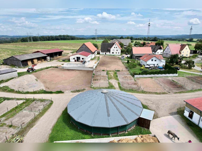 Exklusive Reitanlage im Großraum Nürnberg mit 2 Häusern - Optional weitere Gebäude und Land möglich