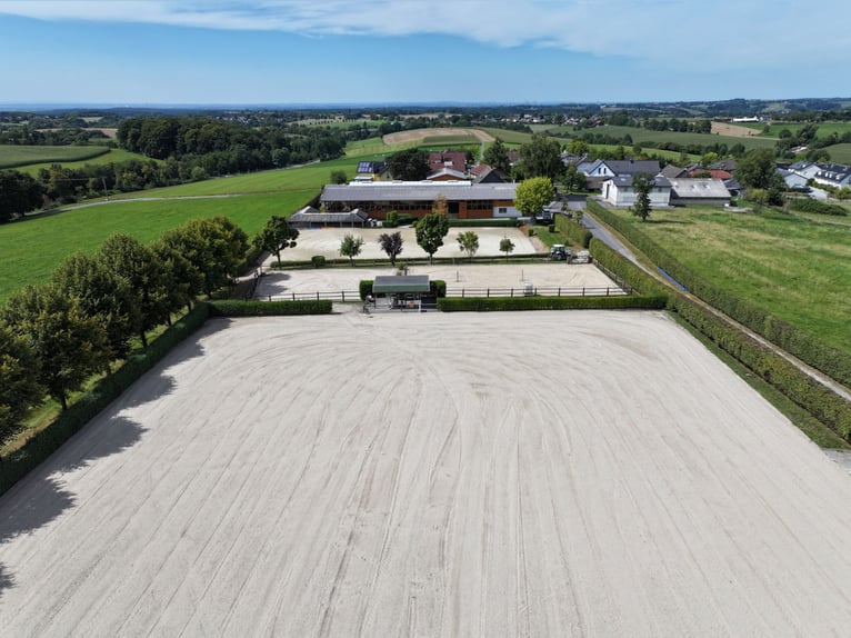 Exklusive Reitanlage im Rhein-Sieg-Kreis
