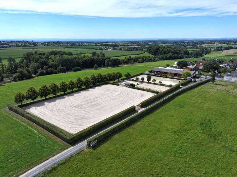 Exklusive Reitanlage im Rhein-Sieg-Kreis
