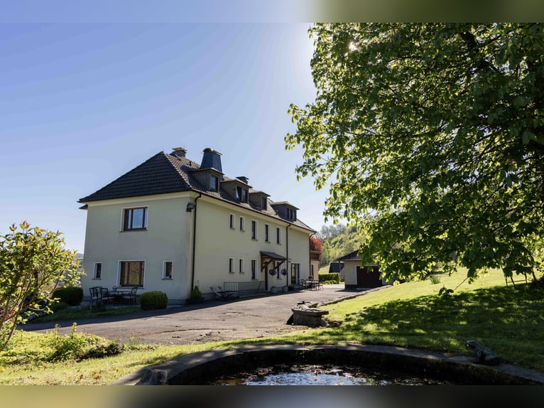 Exklusive Reitanlage im Sauerland | Landhaus, Ferienwohnungen, Reithalle mit Ausbaupotenzial