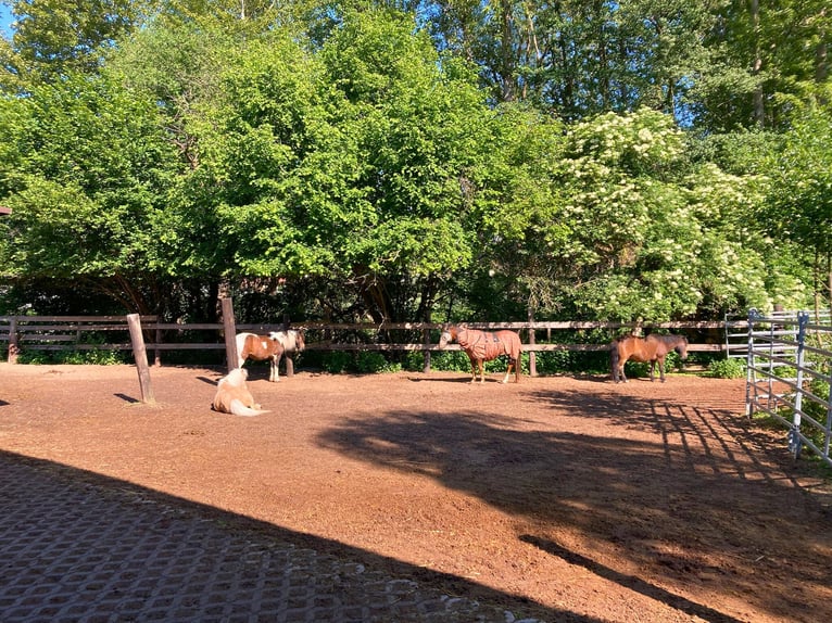 Exklusive Reitanlage mit Reithalle & vielseitigen Wohnmöglichkeiten in Hessen