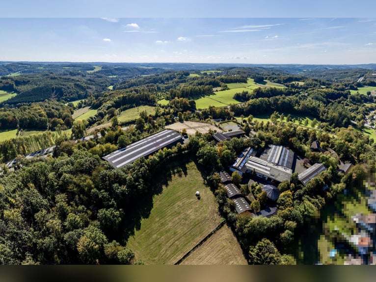 Exklusive Reitanlage Sommerlade in Reichshof!