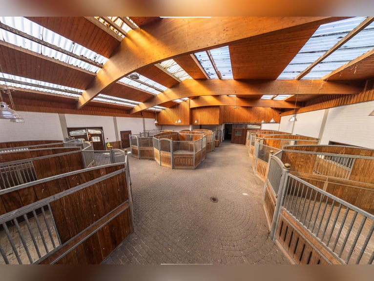 Exklusive Reitanlage Sommerlade in Reichshof!