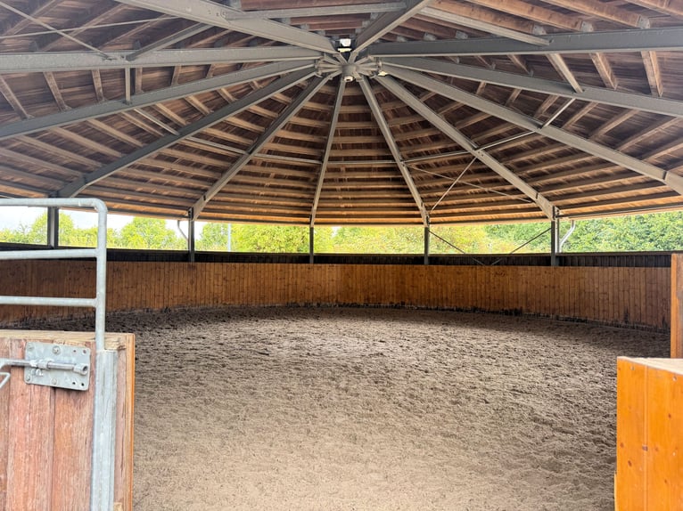 Exklusive Reitanlage umfeld Düsseldorf, Deutschland