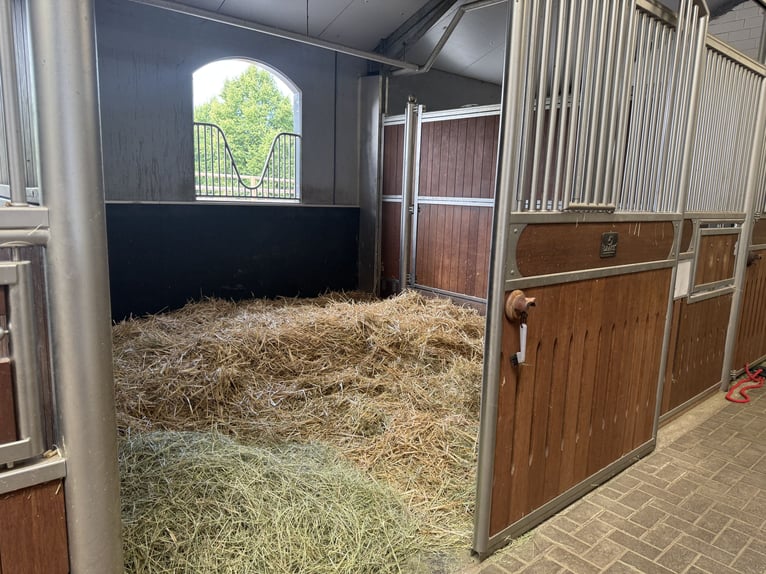 Exklusive Reitanlage umfeld Düsseldorf, Deutschland