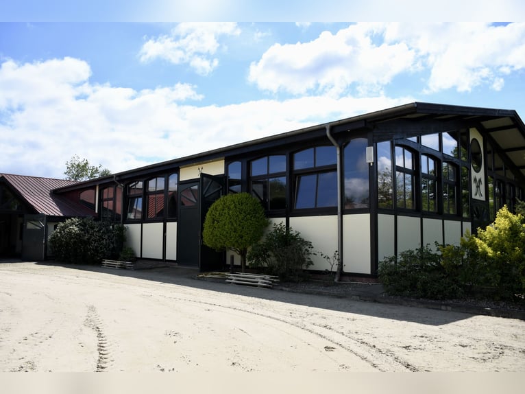 Exklusive Reitanlage zur Pacht: Perfekte Anbindung & idyllische Lage im Grünen - Bremen-Borgfeld