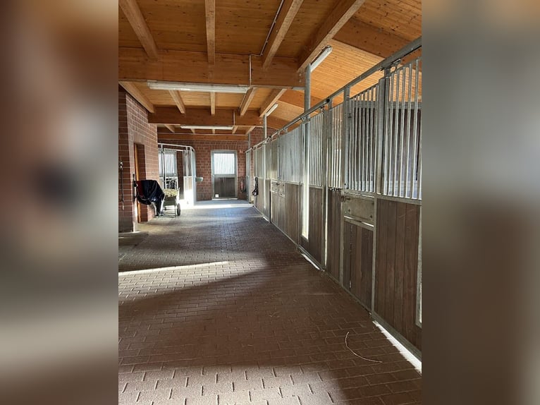 Exklusive Reitanlage zwischen Münsterland und Ostwestfalen, Wohnen u. Trainieren auf höchstem Niveau