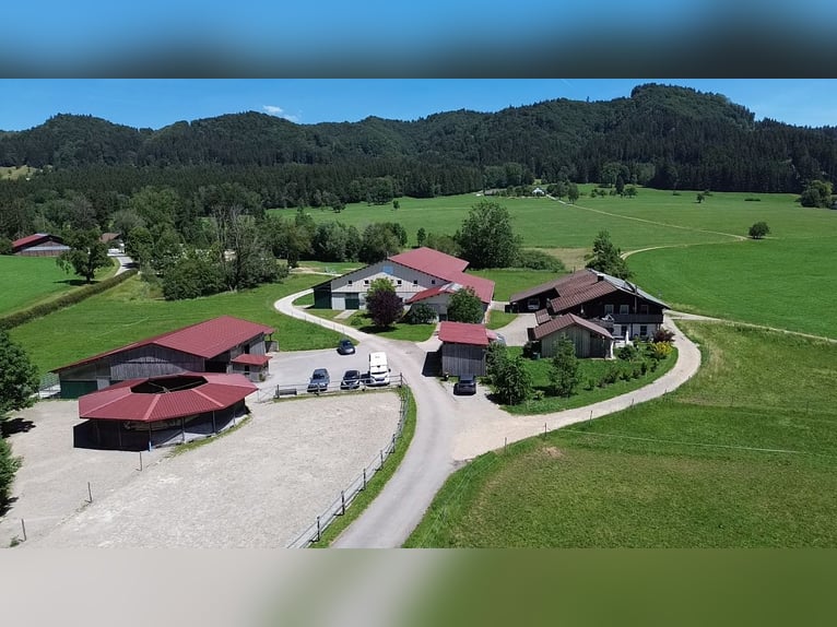 Exklusive Reitsportanlage mit Wohn- und Renditepotenzial im Allgäu