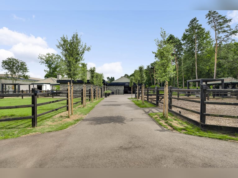 Exklusive Villa mit Gästehaus und Reitanlagen in der Nähe des Nationalparks De Meinweg