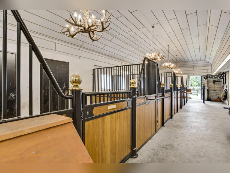 Exklusive Villa mit Gästehaus und Reitanlagen in der Nähe des Nationalparks De Meinweg