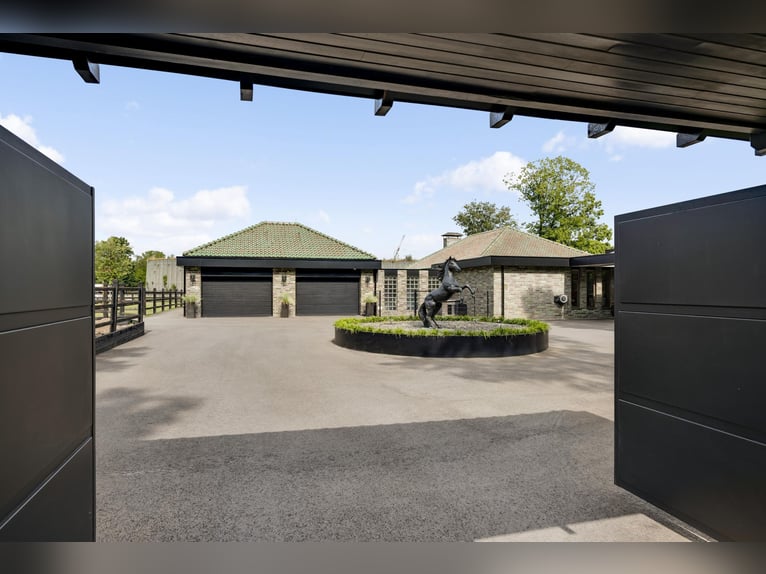 Exklusive Villa mit Gästehaus und Reitanlagen in der Nähe des Nationalparks De Meinweg