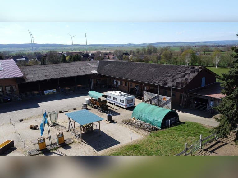 Exklusiver Pferdehof mit Reitanlage & Mehrfamilienhaus – Rendite und Lebensqualität vereint