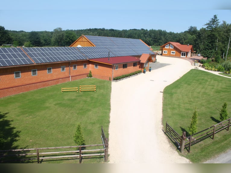 Exklusiver Pferdehof - TOP Ausstattung inkl. Photovoltaikanlage (bisher REHA Zentrum) Niedersachsen Exklusiver Pferdehof - TOP Ausstattung inkl. Photovoltaikanlage (bisher REHA Zentrum) Niedersachsen