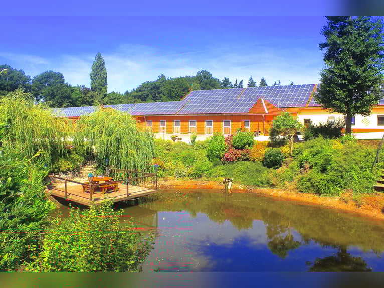 Exklusiver Pferdehof - TOP Ausstattung inkl. Photovoltaikanlage (bisher REHA Zentrum) Niedersachsen Exklusiver Pferdehof - TOP Ausstattung inkl. Photovoltaikanlage (bisher REHA Zentrum) Niedersachsen