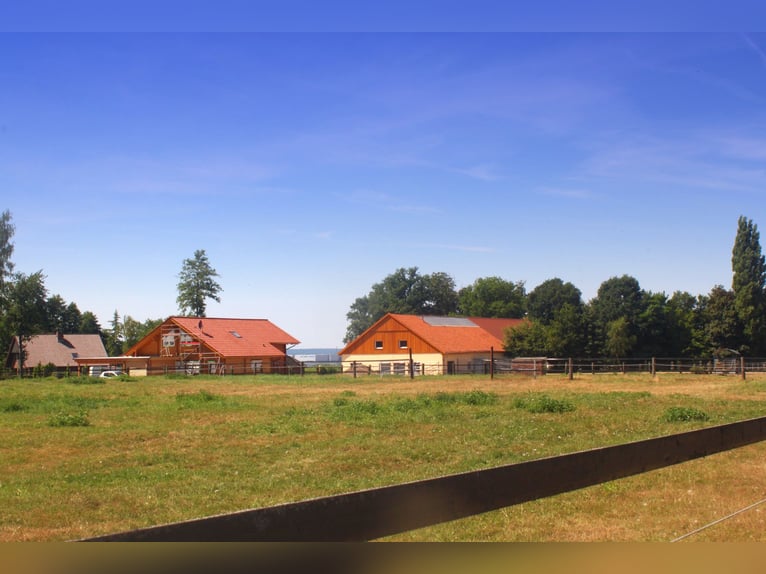Exklusiver Pferdehof - TOP Ausstattung inkl. Photovoltaikanlage (bisher REHA Zentrum) Niedersachsen Exklusiver Pferdehof - TOP Ausstattung inkl. Photovoltaikanlage (bisher REHA Zentrum) Niedersachsen