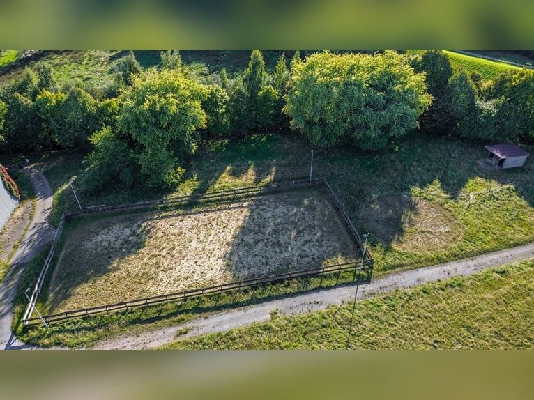 Exklusives Anwesen mit Villa, Reitanlage und Hallenkomplex  an einem Privatsee zum Kauf