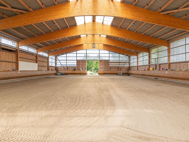 Exklusives Landgut mit Reitanlage im Naturpark Westensee