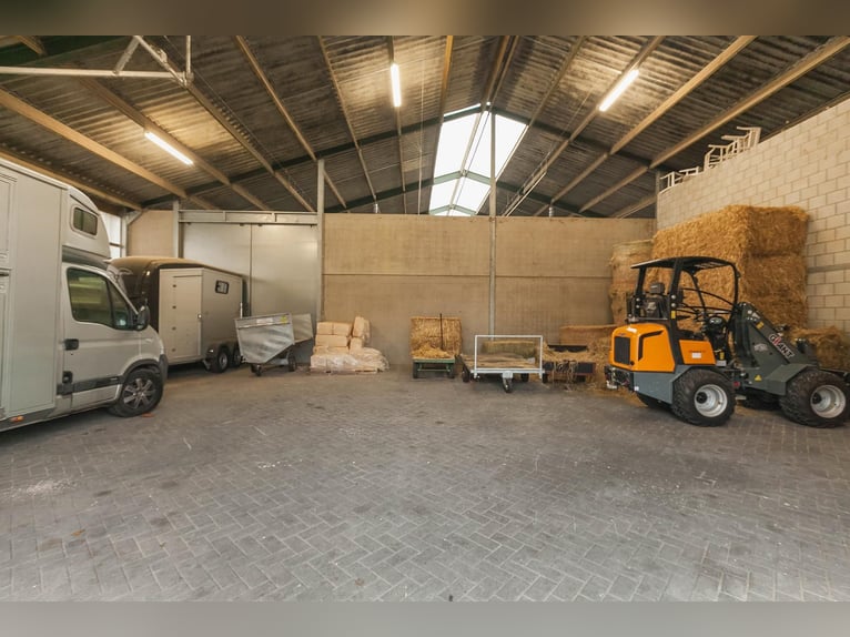 Exklusives privates Reiteranwesen mit Reithalle, Stallungen und luxuriösem Wohnhaus