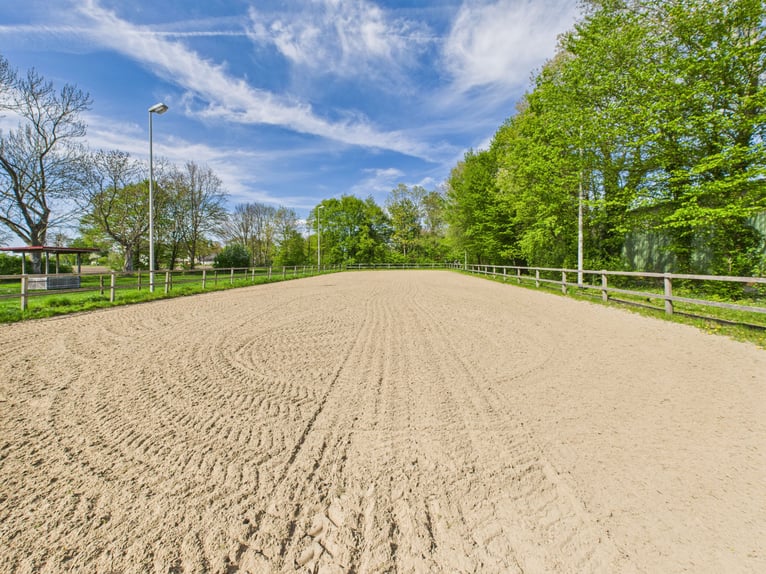 Exklusives Reitanwesen mit stilvollem Wohnhaus, weitläufigen Weiden und außergewöhnlicher Reitanlage
