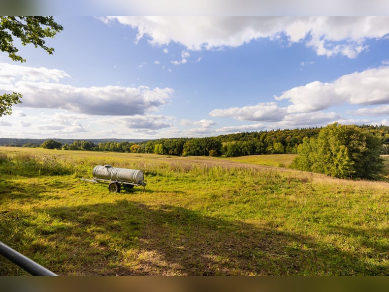 Exklusives Reitsportanwesen nahe Hamburg - 43 Hektar & neue Reithalle!