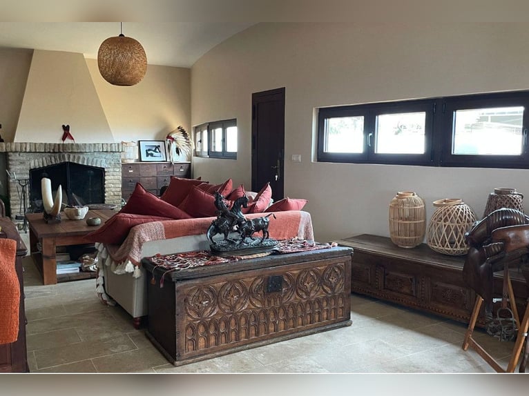 Finca des Traumhaften Landguts mit über 90 Hektar in der Nähe von Sevilla