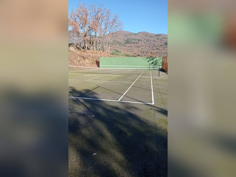 Finca im Gebiet von Gredos in Ensueño